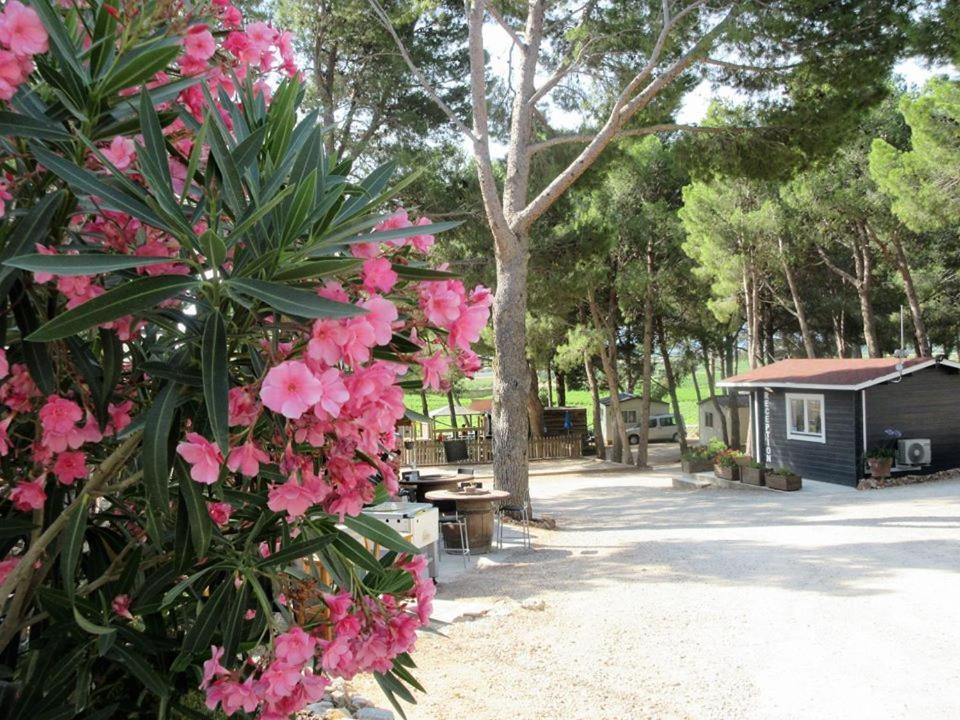 Camping Le Bois De Pins Salses-le-Chateau Kültér fotó