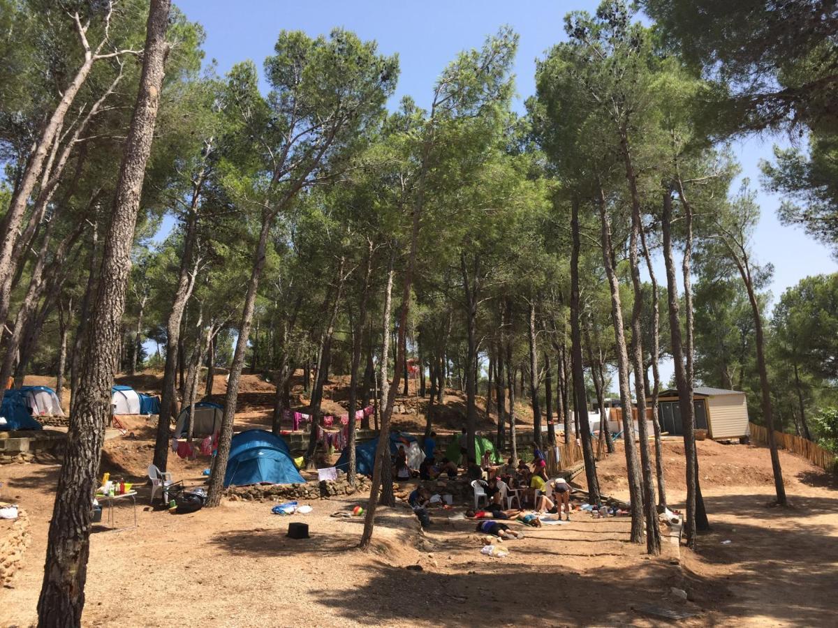 Camping Le Bois De Pins Salses-le-Chateau Kültér fotó