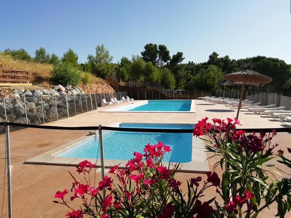 Camping Le Bois De Pins Salses-le-Chateau Kültér fotó