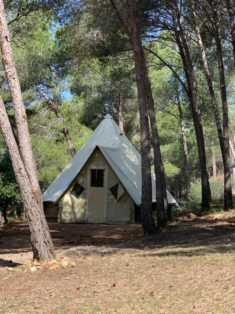 Camping Le Bois De Pins Salses-le-Chateau Kültér fotó